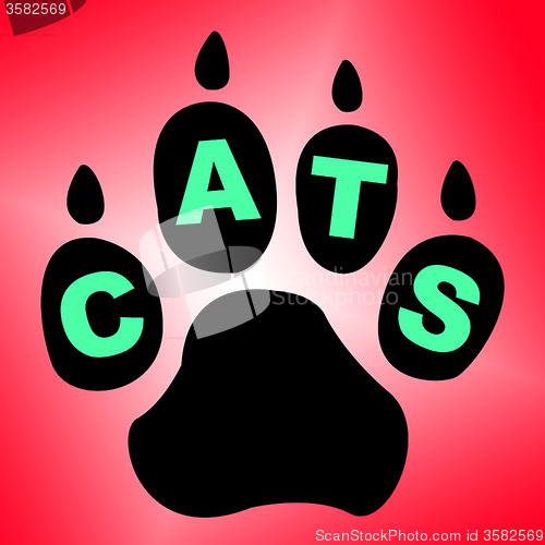 Image of Cats Paw Shows Pet Services And Feline