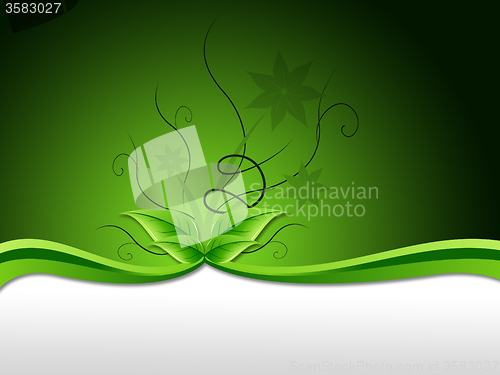 Image of Delicate Floral Background Means Elegant Nature Or Garden\r