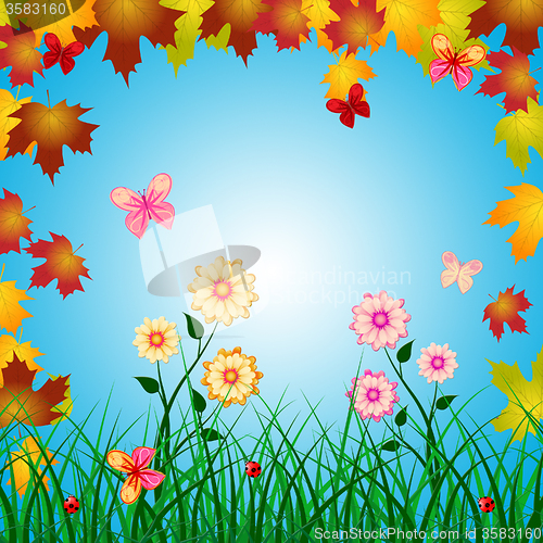 Image of Butterflies Copyspace Shows Creature Floral And Florals