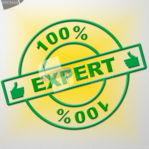 Image of Hundred Percent Expert Indicates Training Proficiency And Experts