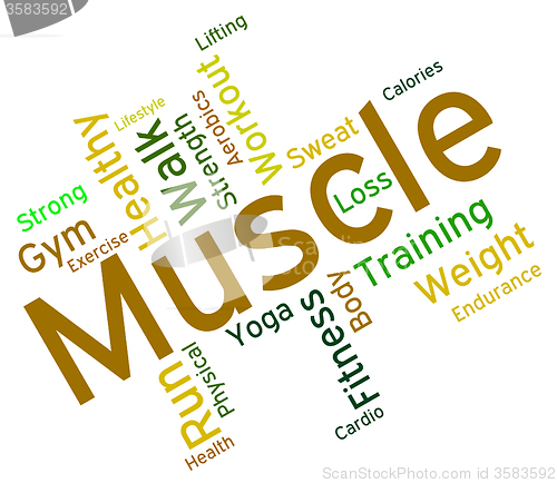 Image of Muscle Words Shows Weight Lifting And Dumbbell