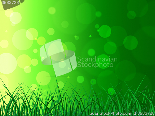 Image of Copyspace Background Represents Green Grass And Backgrounds