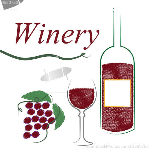Image of Winery Wine Shows Alcoholic Drink And Booze