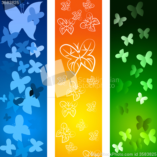 Image of Butterflies Copyspace Indicates Blank Flying And Backdrop
