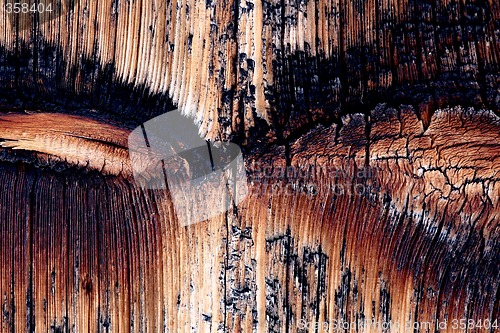 Image of Natural wooden background