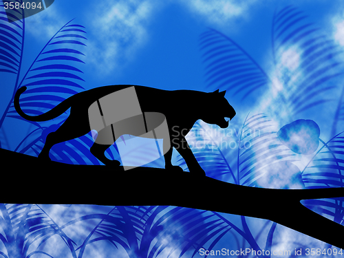 Image of Tiger On Tree Indicates Jungle Animals And Cat