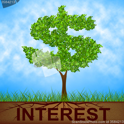 Image of Interest Tree Shows American Dollars And Branch