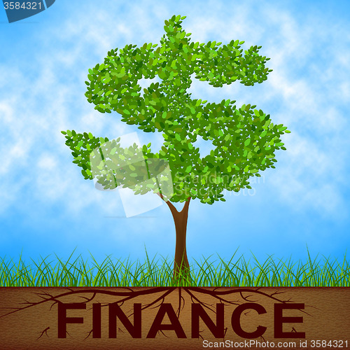 Image of Finance Tree Means United States And Bank