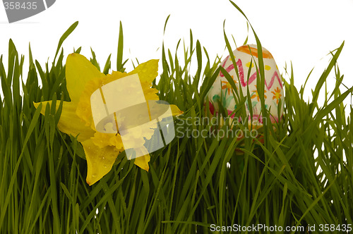 Image of Daffodil and easter egg