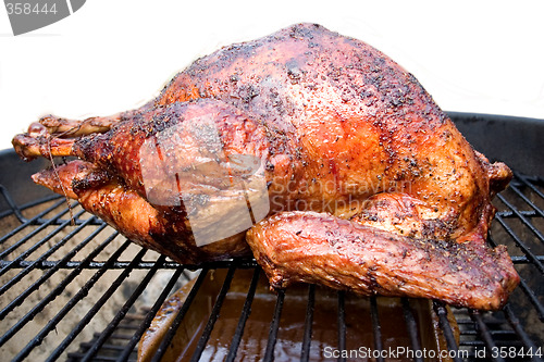 Image of Grilled Turkey