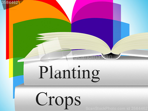 Image of Planting Crops Indicates Agrarian Cultivation And Field