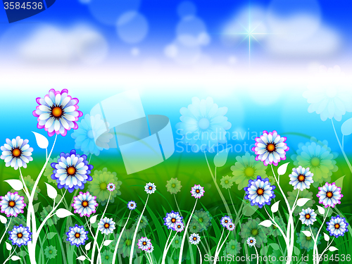 Image of Flowers Background Means Blossoms Petals And Blooming\r