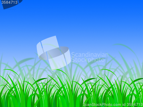 Image of Horizon Background Shows Clear Day Field Or Land\r