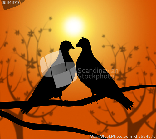 Image of Love Birds Represents Heart Compassion And Boyfriend
