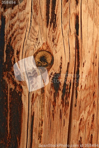 Image of Burnt knotty wood background