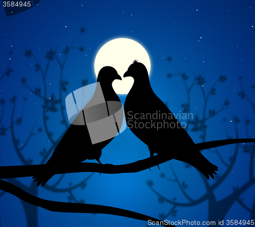 Image of Love Birds Means Boyfriend Affection And Fondness