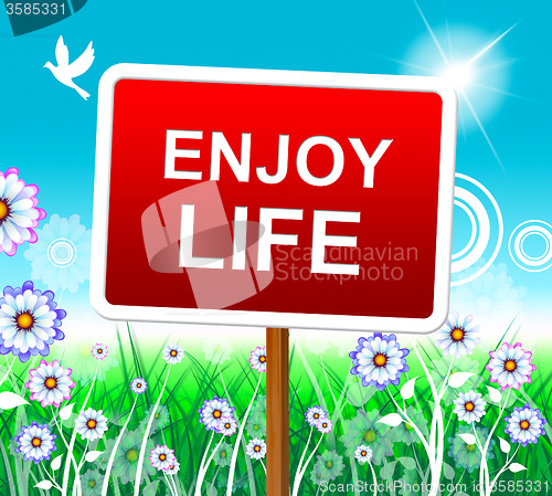 Image of Enjoy Life Shows Positive Joyful And Jubilant