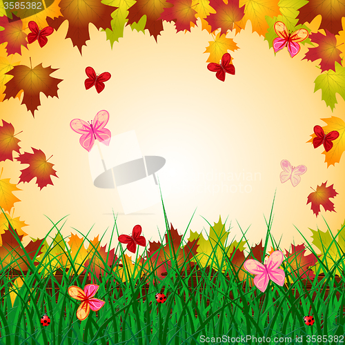 Image of Floral Copyspace Indicates Bouquet Creature And Butterflies