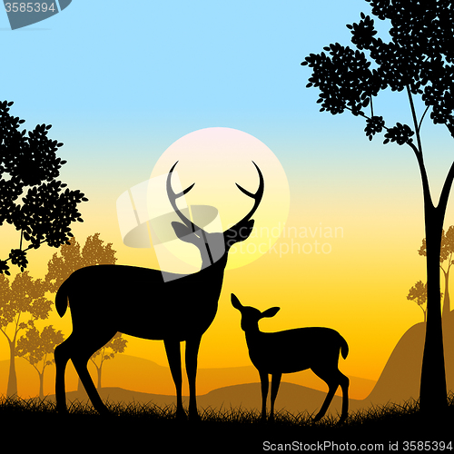 Image of Deer Wildlife Indicates Safari Animals And Evening