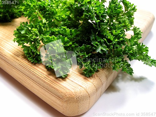 Image of Fresh parsley on cutting board 1