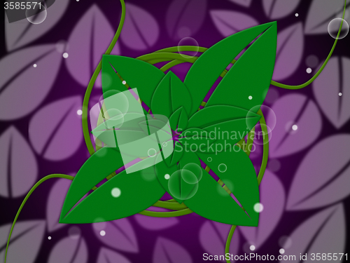 Image of Floral Background Represents Botanic Florist And Design