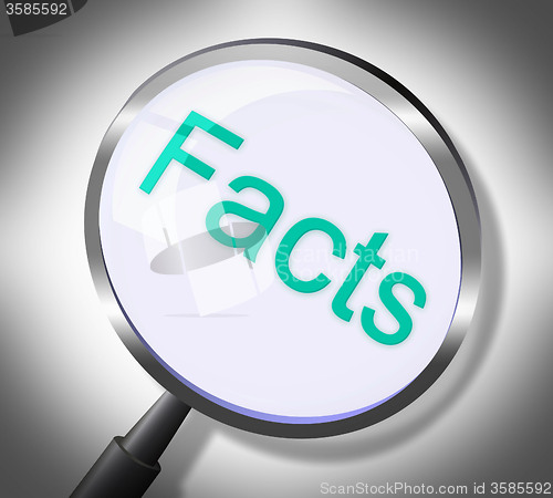 Image of Facts Magnifier Represents Knowledge Searching And Info