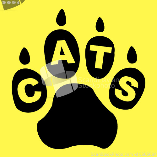 Image of Cats Paw Represents Pet Care And Feline