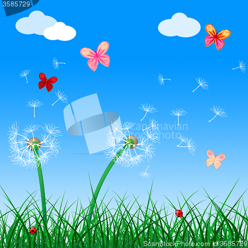 Image of Copyspace Butterflies Indicates Flora Flower And Blank