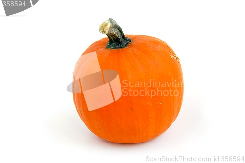 Image of Pumpkin