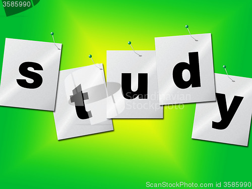 Image of Study Studying Indicates University Develop And Train