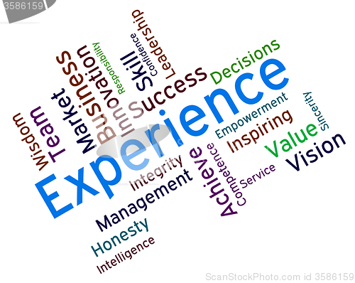 Image of Experience Words Shows Competency Proficient And Professionally