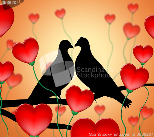 Image of Love Birds Means Tenderness Wildlife And Compassion