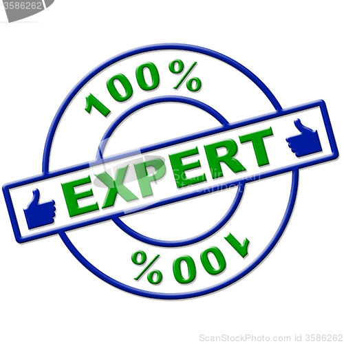 Image of Hundred Percent Expert Means Excellence Completely And Skills