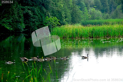 Image of River landscape