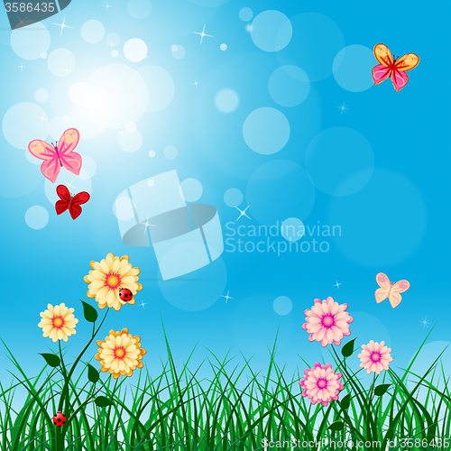 Image of Floral Copyspace Represents Florals Copy-Space And Flower