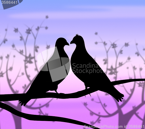 Image of Love Birds Represents Compassion Passion And Heart