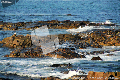 Image of Rocks in ocean