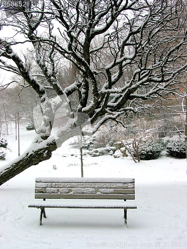 Image of Winter bench
