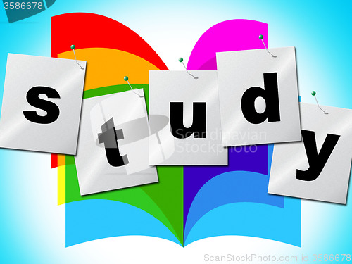 Image of Study Studying Means College Training And Development