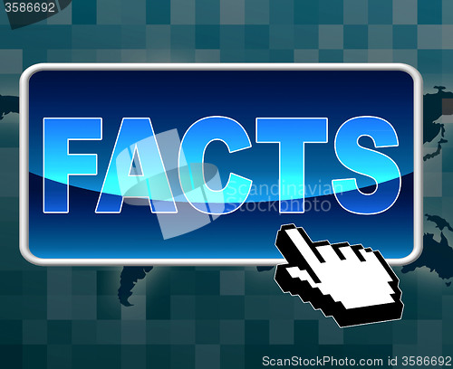 Image of Facts Button Represents World Wide Web And Answers