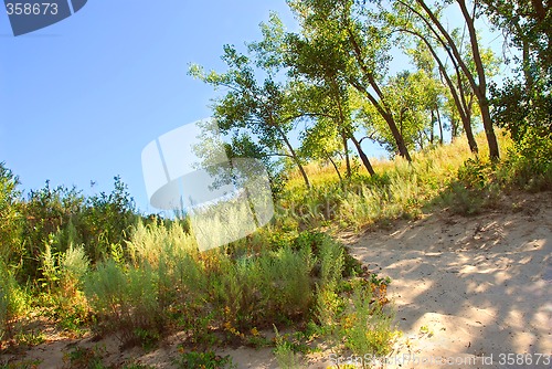 Image of Sand dunes