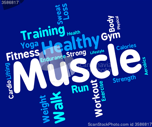 Image of Muscle Words Represents Weight Lifting And Dumbbell