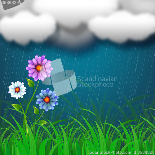 Image of Flowers Background Shows Clothes Pegs And Backdrop