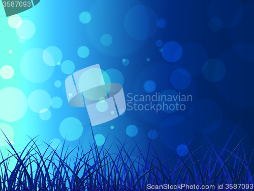 Image of Grass Bokeh Represents Blank Space And Background