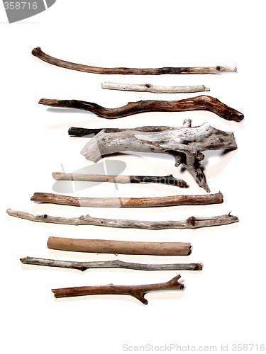 Image of Sea twigs