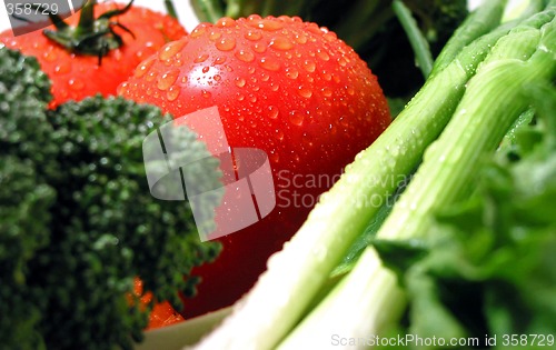 Image of Fresh wet vegetables