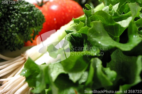 Image of Fresh wet vegetables