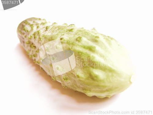 Image of Retro looking Cucumber picture