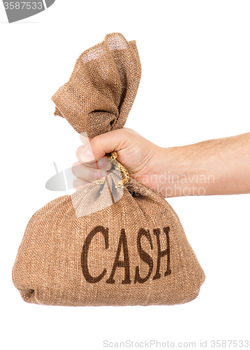 Image of Money bag