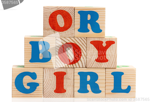 Image of Boy or girl word 